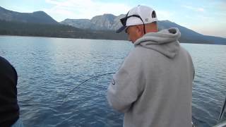 Tahoe Kokanee Jigging [upl. by Nodnol]