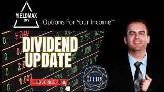 Reviewing YMAX amp YMAG Dividends PLUS Group D [upl. by Thorfinn]