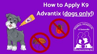 How to Apply K9 Advantix Dogs Only [upl. by Adeline8]