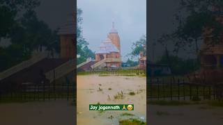 Baisi pahache kheliba mina  jagannath temple digi shorts viralshort trending [upl. by Geilich]