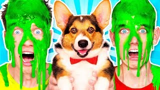 Dogs Pick our Mystery Slime Challenge 2 amp How to Make the Best Funny DIY Orbeez Switch Up Game [upl. by Loella]