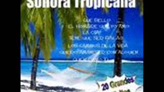 sonora tropicana la cita [upl. by Airitac]