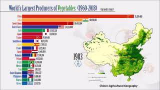 Vegetable Production 19602018  FAO [upl. by Mahmud]