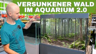 Der versunkene Wald bekommt ein neues Aquarium  Amtra Alux review amp Einrichtungsbeispiel [upl. by Tray785]