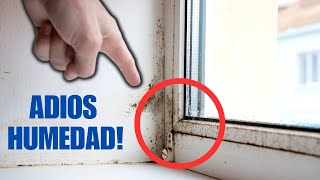 🔴 CONSEJOS Rápidos y Sencillos para ELIMINAR la HUMEDAD de tus Ventanas 🌧️🌧️ [upl. by Casimire469]