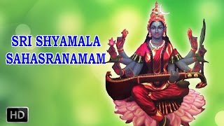 Sri Shyamala Sahasranamam  Powerful Mantra  DrR Thiagarajan [upl. by Auop682]