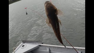 Fishing Clyde River Batemans Bay NSW  Flathead Bream and whiting [upl. by Taber]