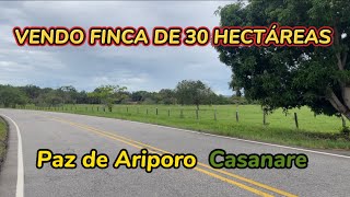 😍Hermosa finca en Venta Llanos orientales Precio muy accesible APROVECHA 📞321 953 3536 [upl. by Fotzsyzrk]