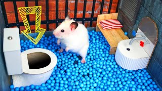 🐹 Hamster Escapes the Creative Maze for Pets in real life 🐹 in Hamster Stories [upl. by Ervin]