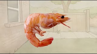 Yapping Shrimp does NOT yap about Eating Shrimp 😭🙏🙏 [upl. by Brandy]