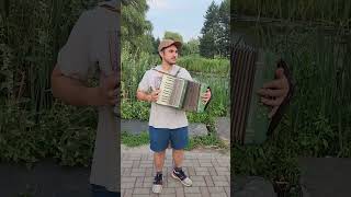 Mondays amirite accordion folkmusic darkmusic [upl. by Ahtamat799]