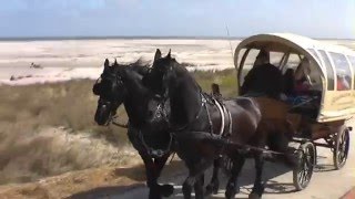 BORKUM  Eine lebendige Insel mit Hochseeklima [upl. by Halliday]