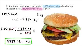 Converting between Kilocalories and Kilojoules [upl. by Galanti]