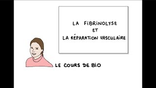 Hémostase  fibrinolyse et réparation vasculaire [upl. by Dippold]