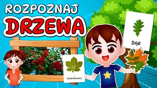 đźŚł Kazio i DRZEWA film edukacyjny dla dzieci  Rozpoznawanie drzew  Zagadki đźŚł [upl. by Annavoj]