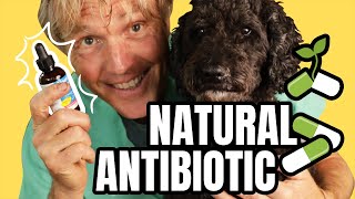 Natural Antibiotics to PREVENT and TREAT Infection [upl. by Hairam]