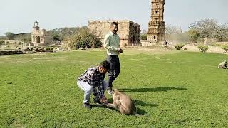 occasional tour Chittorgarh [upl. by Valerie]