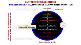 Antitubercular Drug  Pyrazinamide Mechanism of Action Animation  Anti TB Drugs  Pyrazinamide [upl. by Surazal684]