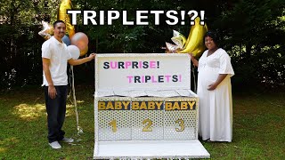 Gender Reveal Surprise Triplets [upl. by Liw]