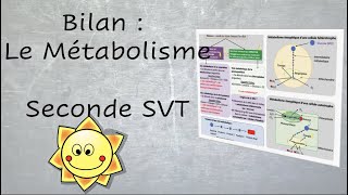 Le métabolisme des cellules SVT 2de [upl. by Suehtomit]