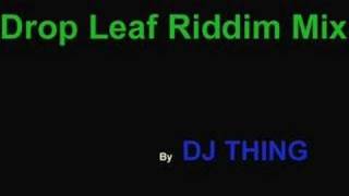 drop leaf riddim mix  dj thing [upl. by Pirali]