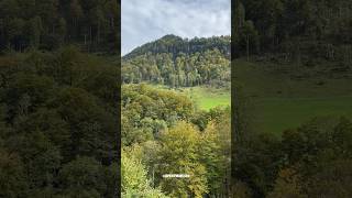 Beautiful Nature Early Autumn 🍃🍂 Flühli Entlebuch Lucerne Switzerland Shorts [upl. by Shaff]