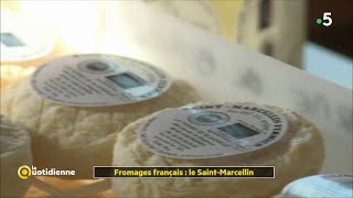 Fromages français  le SaintMarcellin [upl. by Odyssey]