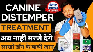 Canine Distemper Treatment At Home In Dogs  Symptoms  Recovery  Dog Distemper Treatment In Hindi [upl. by Haiacim416]