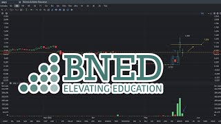 BNED Stock Price Prediction May 23 2024 [upl. by Mathia175]