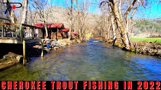 2022 Cherokee Trout Fishing [upl. by Cattima]