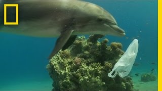 How We Can Keep Plastics Out of Our Ocean  National Geographic [upl. by Dud]