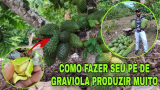 Seu pé de graviola não dá frutos veja como resolver e produzir muita Graviola [upl. by Niels]