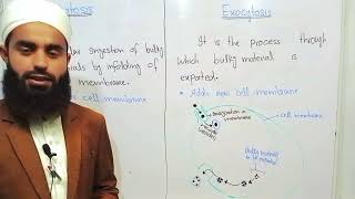 Whats the Difference Between Endocytosis and Exocytosis in Biology [upl. by Yarezed]