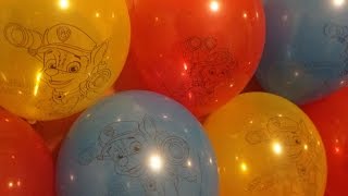 10 PAW Patrol Balloons Pop [upl. by Atalanti]