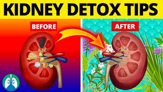 7 Ways to Detox and Cleanse Your Kidneys Naturally [upl. by Zanahs]