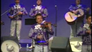 HUAPANGO DE MONCAYO Mariachi Internacional de Mexico [upl. by Kcirdneked]