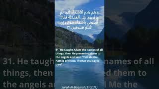 Surah AlBaqarah31231 quran islamicvideo islamicmedia fyp shortvideos shorts short [upl. by Acenom]