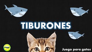 Juego para gatos  Tiburones [upl. by Iek]