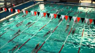 NATACION CUR DE COMPENSAR [upl. by Lunseth]