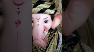 Shiv shambhu raje ganesh 🤗😎😎🥰subcribe [upl. by Kask898]