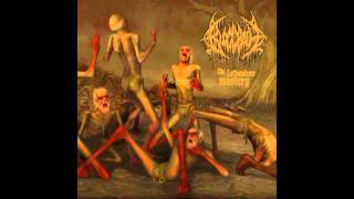 Bloodbath  The fathomless mastery 2008 full album [upl. by Llacam272]