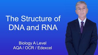 Molecules Multiple Choice OCR A Level Biology 22 [upl. by Cannice]