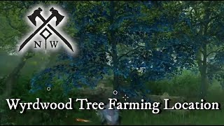 Wyrdwood Tree Farming Location  Weavers Fen  New World [upl. by Erlandson]