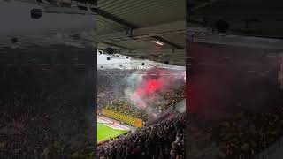 Dortmund fans away at Mainz bundesliga [upl. by Hamilah]