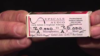 Upscale Audios Kevin Deal reviews the Gold Lion 12AU7  ECC82  B749 [upl. by Ger]