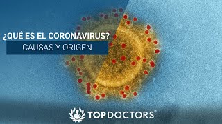 ¿Qué es el Coronavirus Causas y origen [upl. by Ranita]