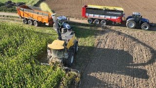 Ensilage de maïs 2024  NH FR 780 et 8 tracteurs NH JD  Herens [upl. by Yerahcaz]