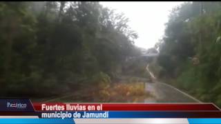 Vendaval en Jamundí afectó casas derribó árboles y originó congestión vehicular [upl. by Haiel]