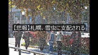 【悲報】札幌、雪虫に支配される [upl. by Neelyahs370]