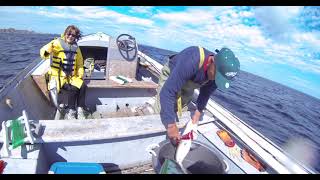 Cod fishing with the hopeful hook in Newfoundland [upl. by Dena]